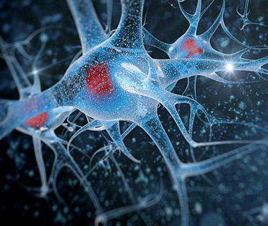 An artistic representation of a neuron