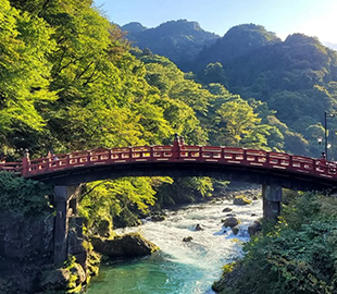 Summer schools ui card