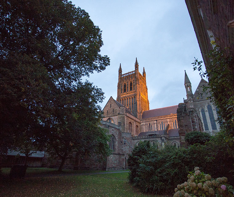 Worcester cathedral through trees