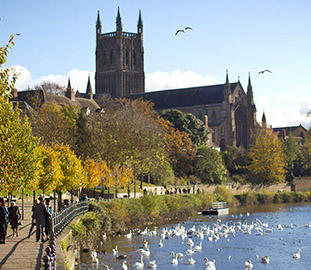 worcester cathedral by the river populated by swans
